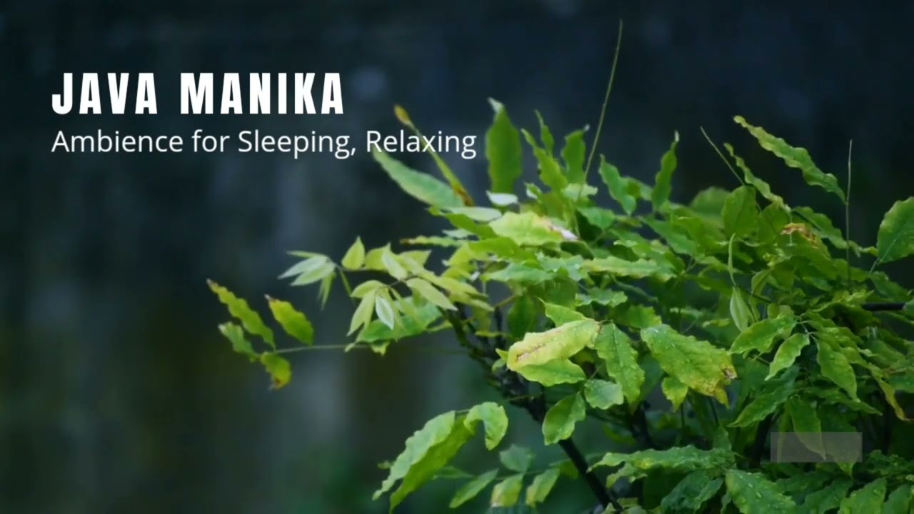Relaxing Mind Javanese Gamelan Instrumental || Java Manika