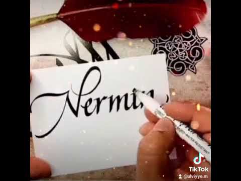 Nermin adina aid video