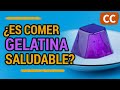 Es comer gelatina saludable tiene algn beneficio  ciencia de la comida