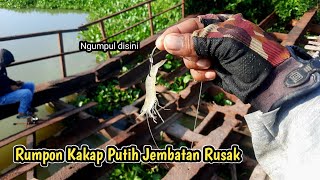 Di Sini Sarang Kakap Putih Rupanya . Rumpon Jembatan Rusak