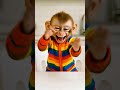 كوكي بتضحك على كلشي Cookie Laughs At Something كوكي بتضحك على كلشي Cookie Laughs At Something