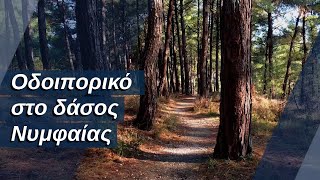 Ανακαλύπτοντας τον τόπο μας - Επεισόδιο #02 - Δάσος Νυμφαίας | xronos.gr