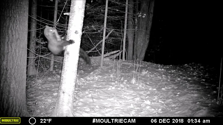 Ojiig On FDLTCC campus