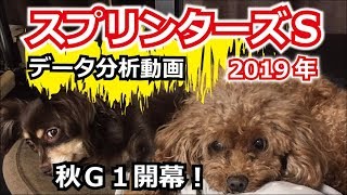 【データ分析予想】2019年 スプリンターズＳのデータ分析【星野るり】