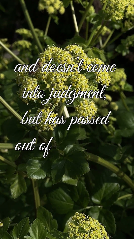 john-5-verse-24-youtube