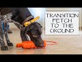 Trained Retrieve Step 19 - Transition Fetch To The Ground