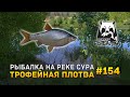 Рыбалка на реке Сура. Трофейная плотва - Русская Рыбалка 4 #154