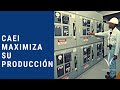 CAEI maximiza su producción - CAEI maximizes production