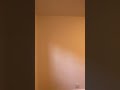 141-35 78th Ave Apt 1C Kew Gardens Hills / Flushing NY 11367 2 Bed 1 Ba