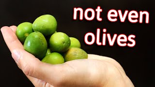 Chinese Olives - The Surprising Truth Behind This Much Misunderstood Fruit.