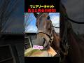 大好きなマーティンを見つけた時のお馬さんの反応が可愛すぎる…!