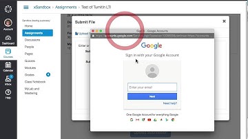 Canvas + Turnitin LTI  From a Student