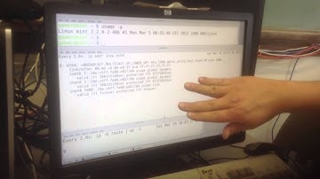 IPv6 RA Flood v. Mint Linux