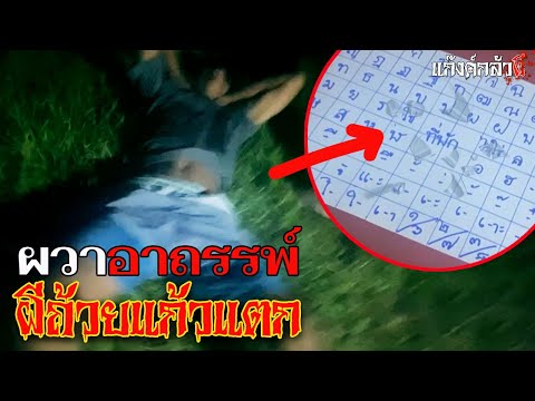 วีดีโอ: สถานที่ที่ดีที่สุดสำหรับสุนัขผู้สูงอายุของคุณอยู่เมื่อคุณไม่อยู่