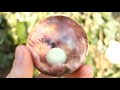 How to Make a Hybrid - Sphere With Flowers🌼 | Art Resin (2020)