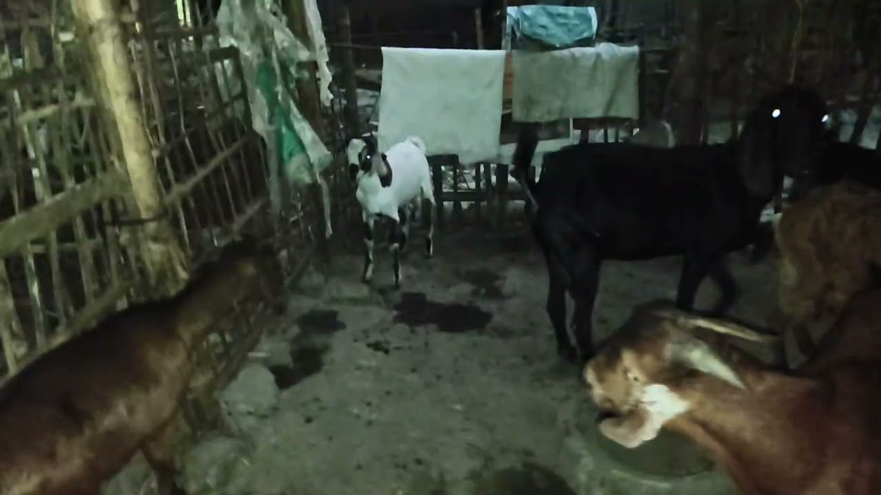 You tube channel 2 subscribe karibo plz 