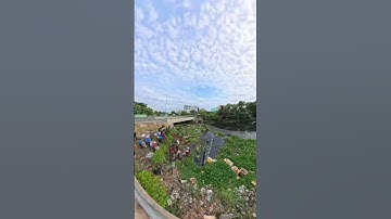 Với hơn 100 tình nguyện viên dọn dẹp dòng kênh rác khổng lồ #saigonxanh