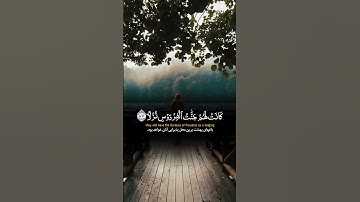 سوره الکهف | قاری اسلام صبحی Surah Al-Kahf #quran #قرآن #duet #ترند #إسلام_صبحي #القزابري #تلاوة