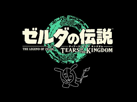 【ゼルダの伝説ティアーズオブザキングダム】チル伝