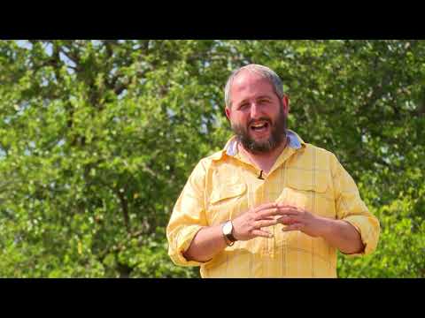 ეთნოფორი • etnopori (გადაცემა ასოთხმოცდამეოთხე) 11.07.2019წ.