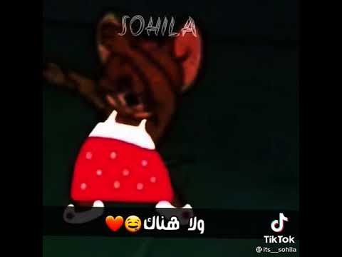 دماغي لفت يا اسمك اي حالات مضحك مضحك شعبي