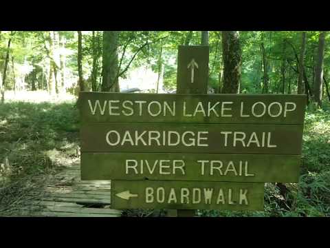 Congaree   Weston Lake Loop Trail