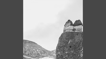 Pulsating Backdrops for Weekend Brunch