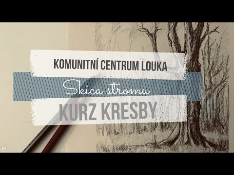 Video: Obrys Stromu Kresba Od Umělce Phil Metzger