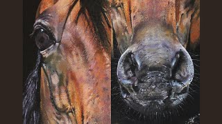 How to Paint a Realistic Horse | Portrait Painting | Time-lapse Acrylic Painting