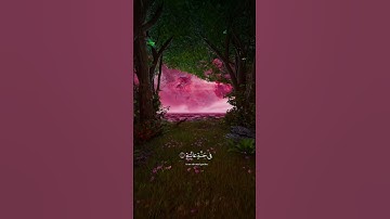 سوره الغاشيه بصوت القارئ عبد الرحمن مسعد ❤️‍🩹 تلاوه رائعه