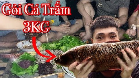 Gỏi Cá Trắm - Làm Món Gỏi Cá Trắm Đen  3Kg Ngon Tuyệt | TâmTáo Vlog