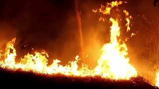 Official Bullet Head Trailer