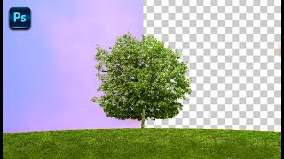 How To Remove Background In Photoshop ( In 1 Minute )