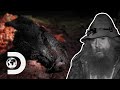 Hunters find a mutilated boar savaged by a monster i mountain monsters
