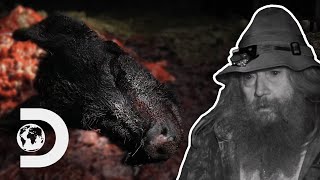 Hunters Find A Mutilated Boar Savaged By A Monster! I Mountain Monsters