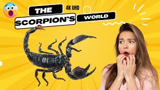 Scorpions Unveiled: A Journey into the Ancient Arachnid World