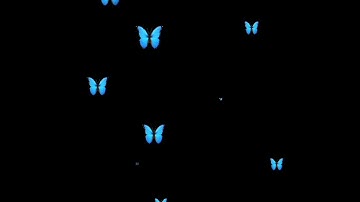 Avee Player Particals | Avee Player Effects | Floating Emojis Overly | Imovie | Alight Motion VFX