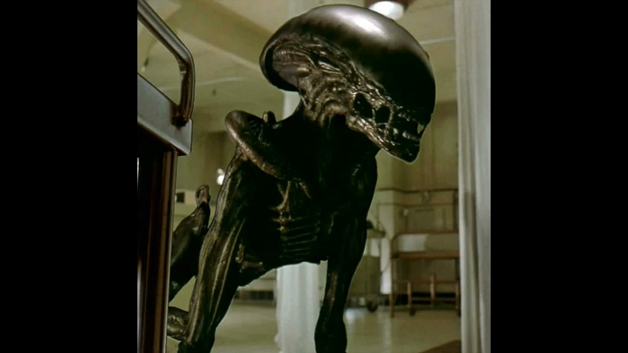 【雰囲気抜群】ALIEN3 cap 映画 1992 vintage 雰囲気抜群】ALIEN3 cap 映画 1992 vintage - メルカリ