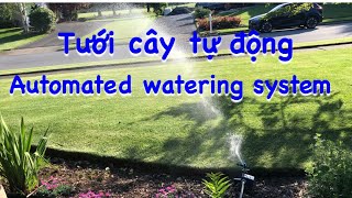 104 Hệ thống tưới cây tự động/ Automated garden drip irrigation system