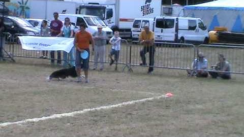 KatrienDeBoeck with Zoef SPDA2.mpg