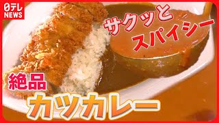 【カツカレーイッキ見】濃厚カレーにサクサクジューシーかつのカツカレー/スプーンが止まらない！奥深いカレーと3日漬け込んだ豚肉で作る絶品カツカレー など