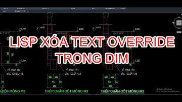 Lisp xóa text override toàn bộ trong bản vẽ.