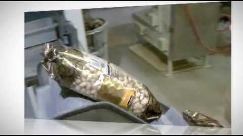 Hayssen Ultima SV Vertical Form Fill Seal System Bagging Pistachios in Stand Up Bags | ProPac.com