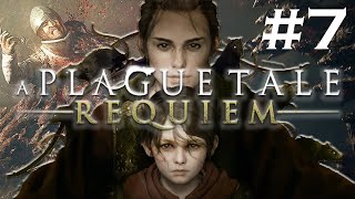 A Plague Tale Requiem - Épisode 7 FR