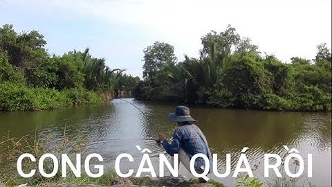 Câu cá chẽm Cần Giờ, quay lại đầm củ và cái kết tuyệt vời || Câu cá chẽm ở Cần giờ