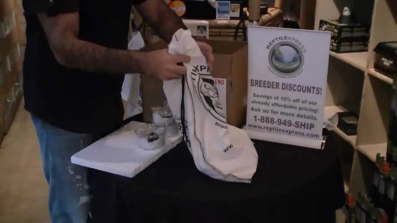 Reptile Express - Tutorial for our Canada-wide customers P1 - YouTube