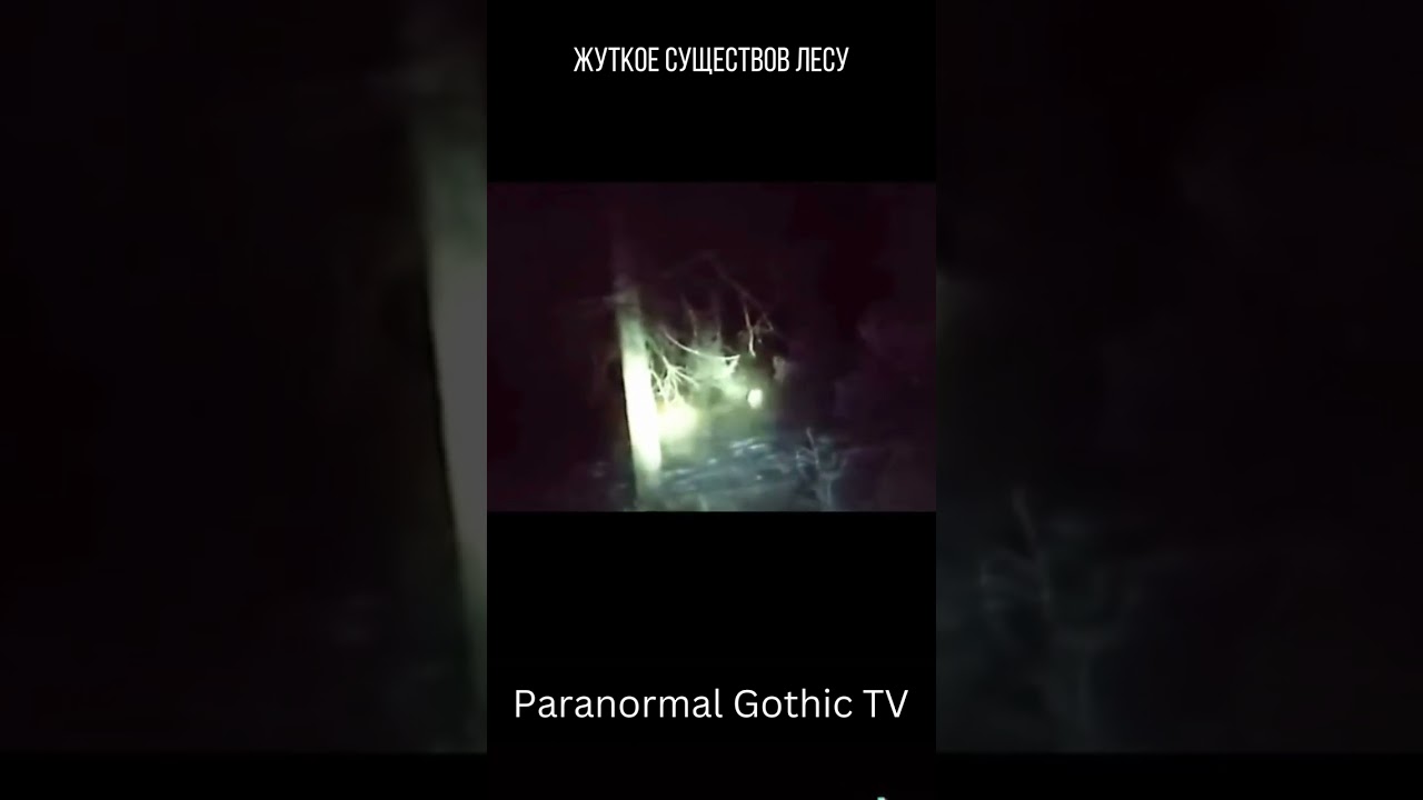 Жуткое Нечто в Лесу ┃Paranormal Gothic TV