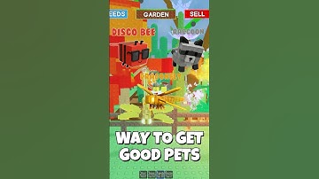 HOW TO GET RACCOON IN GROW A GARDEN #roblox #robloxgames #growagarden