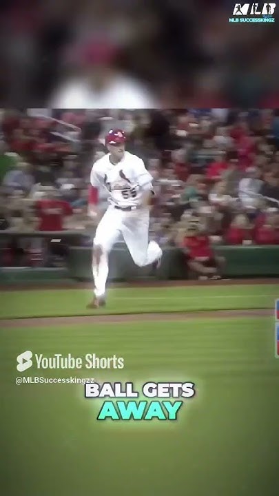 Neto'S Leadoff Show: A Must See Baseball Moment - b3s6l8y