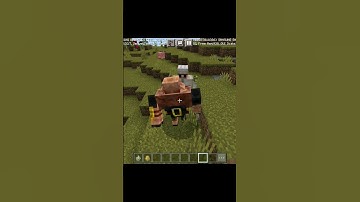 Iron golem🥶 vs Piglin golem🤭 who will win? #shorts #minecraft #youtubeshorts